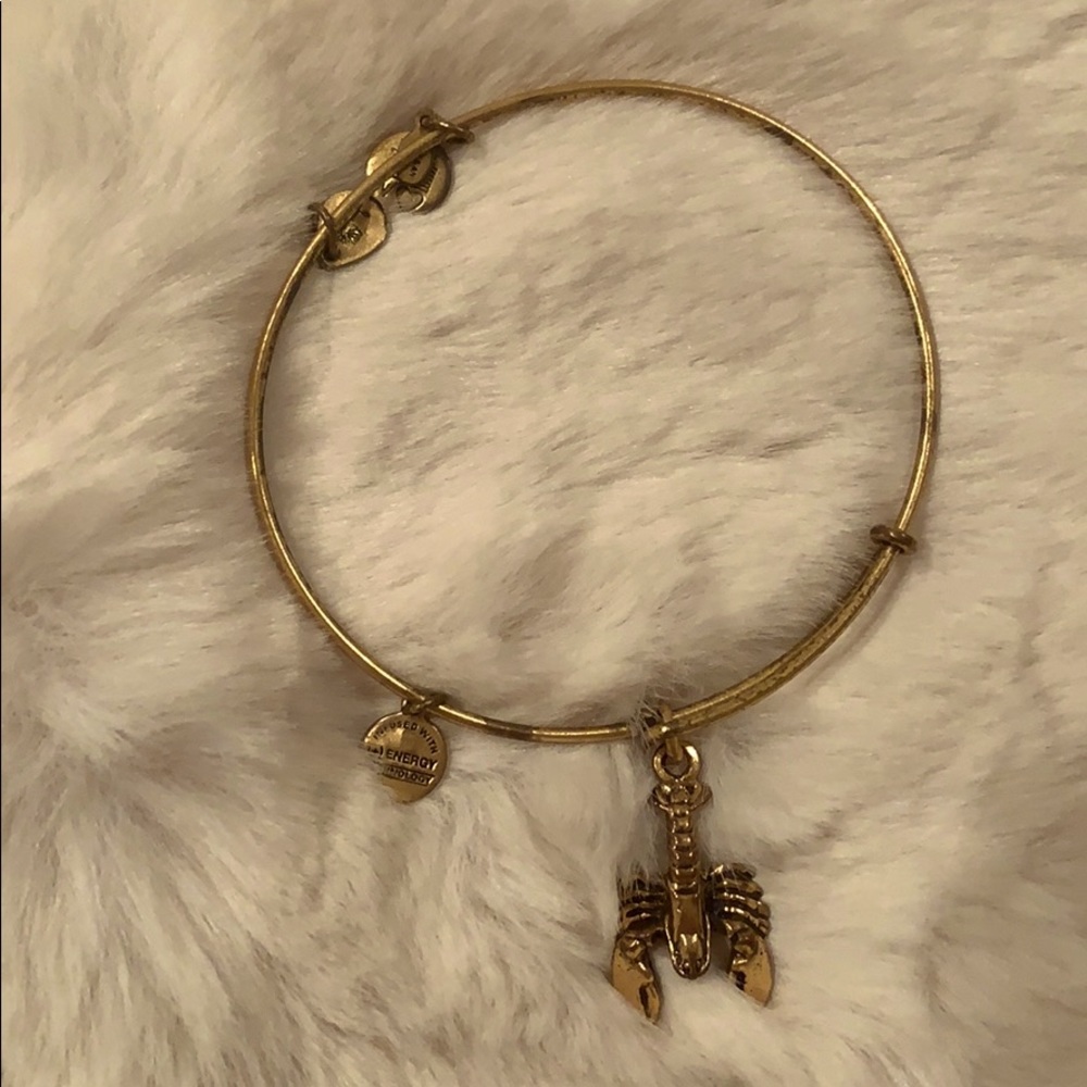 Lobster 🦞 Alex and Ani